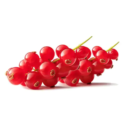 Red Currant 125g Netherlands